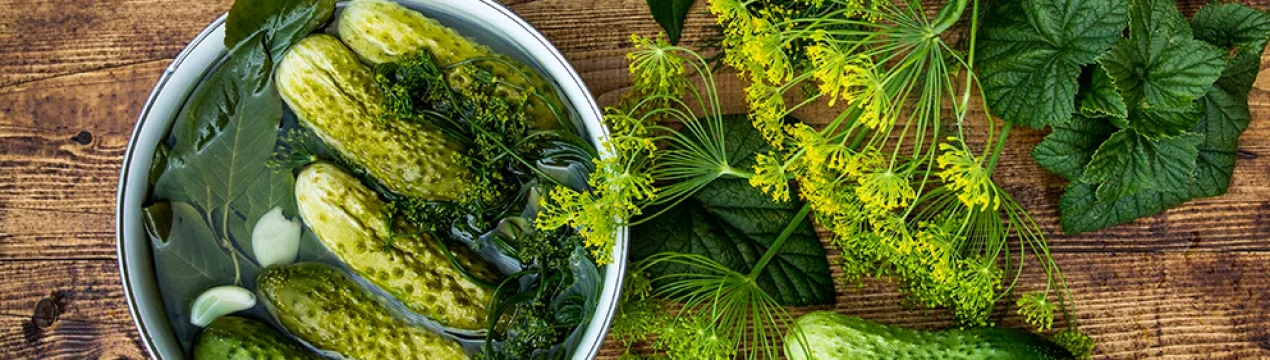 Турецький фермер виростив огірок вагою 21 кілограм