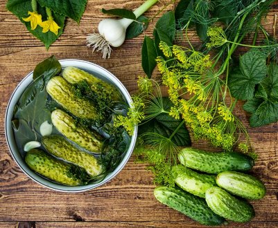 Турецький фермер виростив огірок вагою 21 кілограм