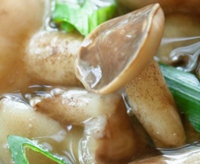 Як готувати гриби маслюки