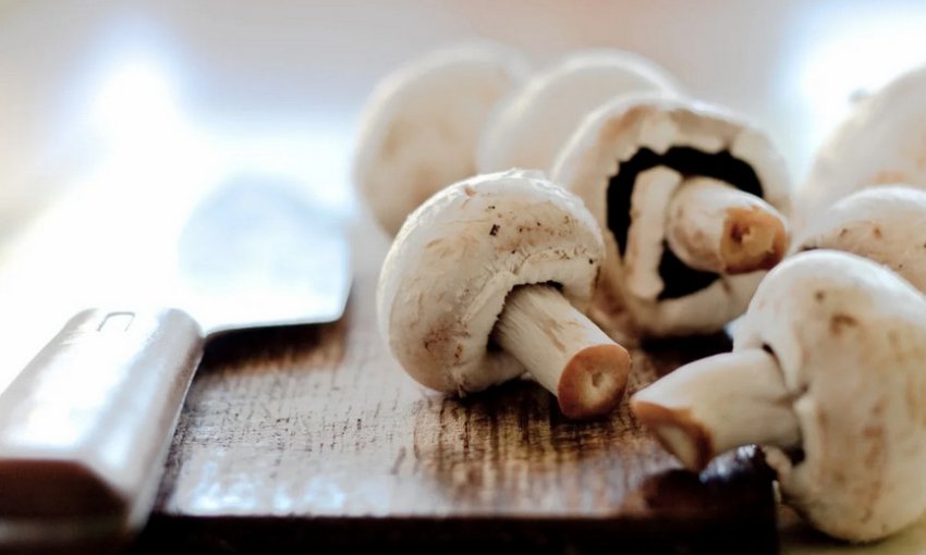 Вибір печериць Вибір печериць