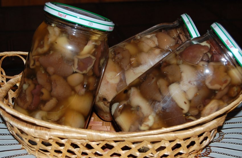 Мариновані маслюки