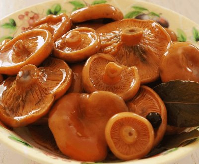 Як засолити рижики холодним способом