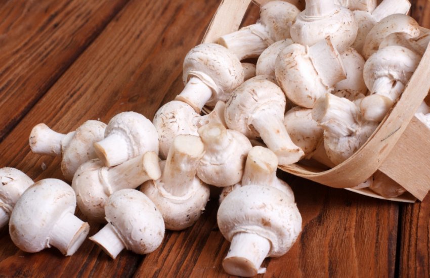Інгредієнт для страви - печериця