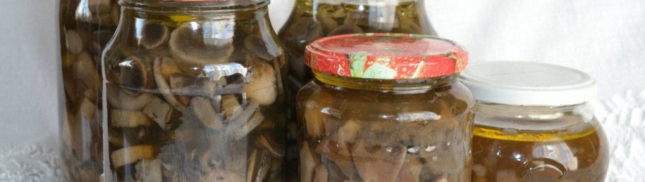 Рецепти маринування підберезовиків і підосичників