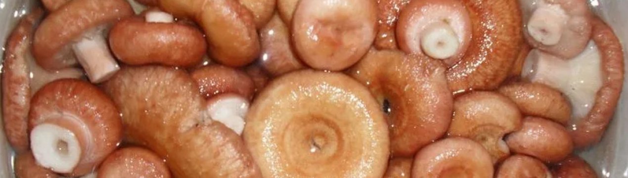 Як засолити волнушки на зиму в домашніх умовах, рецепти, покрокові інструкції