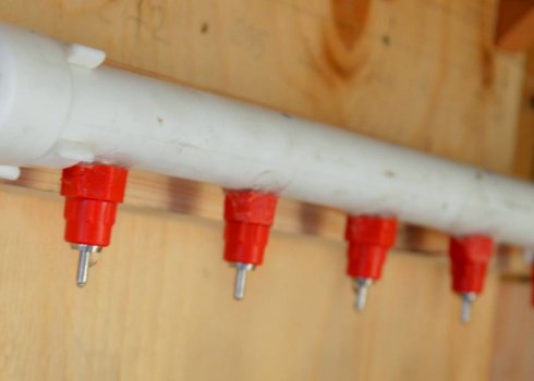 Ніпельні поїлки для курей: як зробити і своїми руками