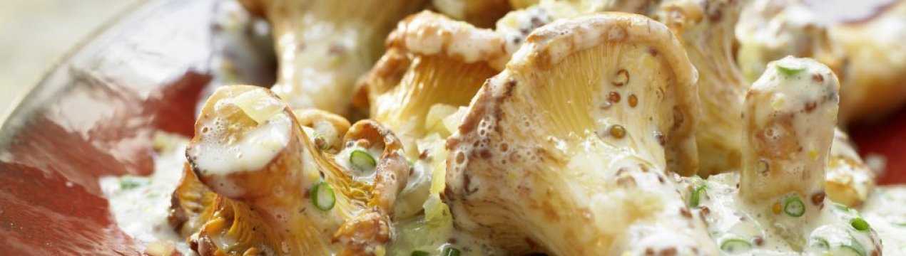 Лисички в сметані, рецепти