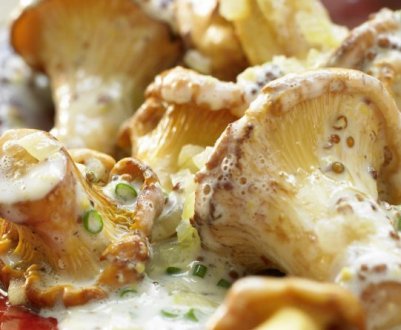 Лисички в сметані, рецепти