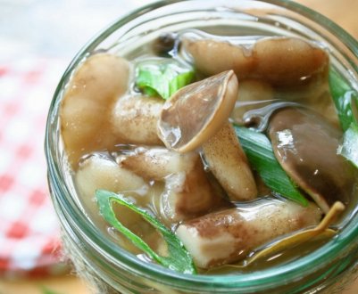 Рецепти засолювання маслюків на зиму в банках у домашніх умовах