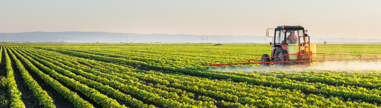День соєвого поля пройде у Вінницькій області
