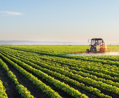 День соєвого поля пройде у Вінницькій області