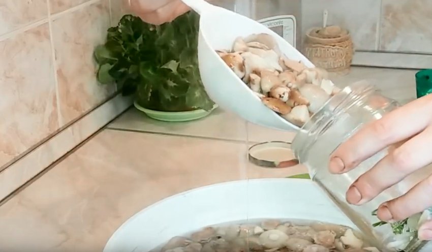 маслята соленые рецепт горячим способом. . маслята соленые рецепт горячим способом фото. маслята соленые рецепт горячим способом-. картинка маслята соленые рецепт горячим способом. картинка . В кулинарии маслята зарекомендовали себя как одни из наиболее вкусных. Особенно хороши соленые. Способов запастись таковыми в настоящее время существует много. О правилах и секретах приготовления этих грибов на зиму в банках в домашних условиях читайте в нашей статье с фото и видео.