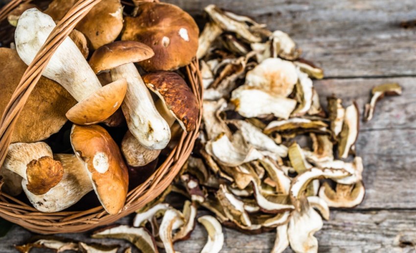 Білі гриби для супу