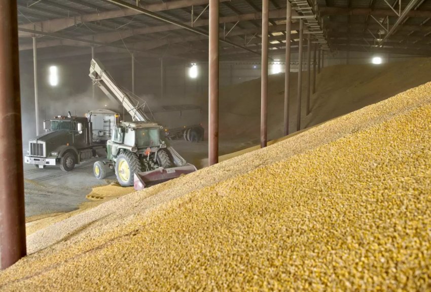 Українська компанія «Агро-С» збільшила потужності по зберіганню і сушінні кукурудзи