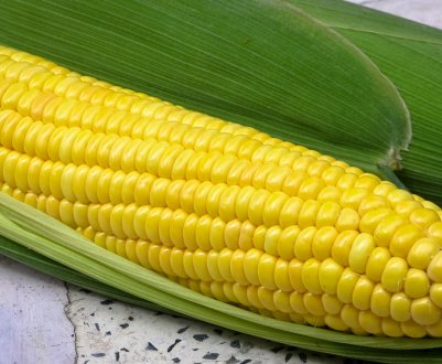 Українська компанія «Агро-С» збільшила потужності по зберіганню і сушінні кукурудзи