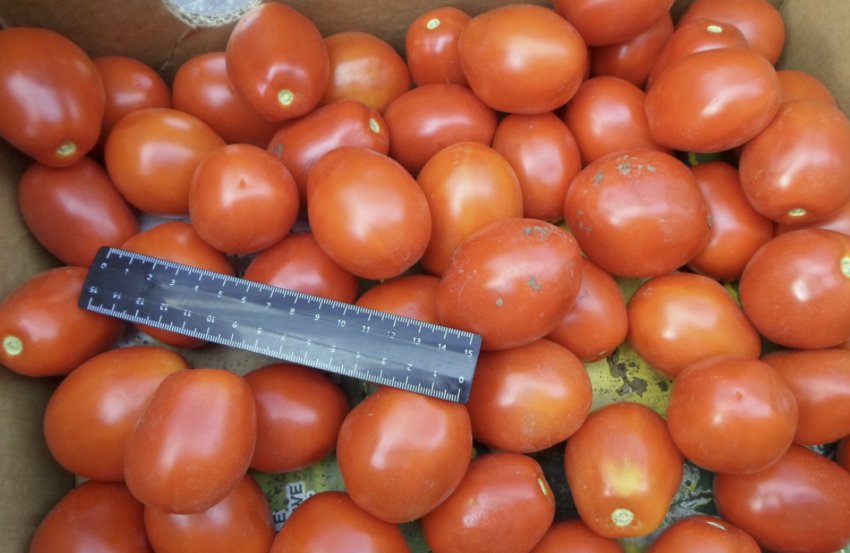 Медова сливка Медова сливка