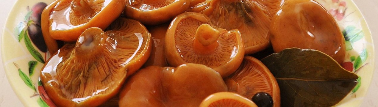 Як приготувати гриби рижики