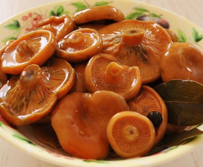 Як приготувати гриби рижики