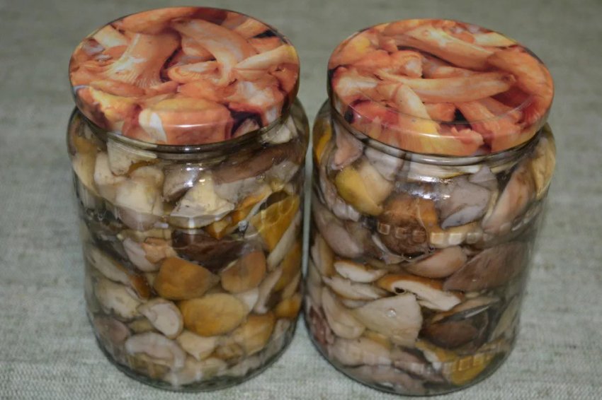 Маслята на зиму Маслята на зиму