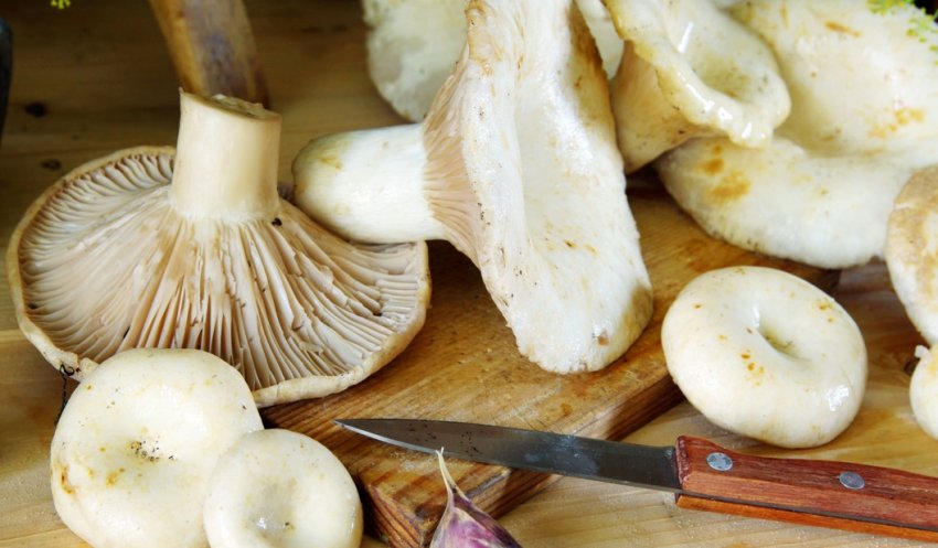 Підготовка продуктів до приготування страви Підготовка продуктів до приготування страви