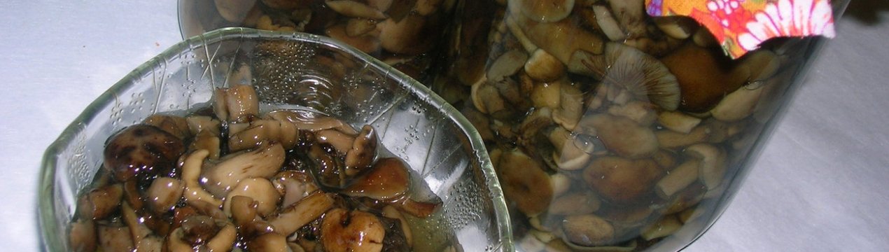 Заготівля смажених опеньків на зиму