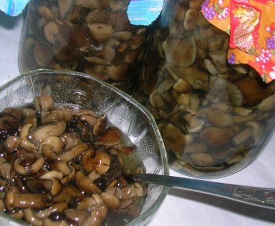 Заготівля смажених опеньків на зиму