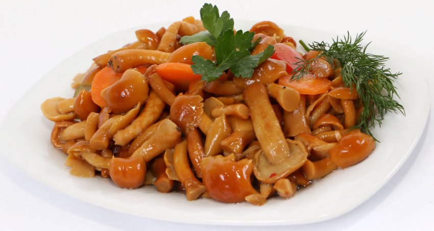 Опеньки по-корейськи Опеньки по-корейськи