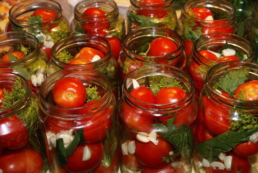 Помідори на зиму в банках Помідори на зиму в банках