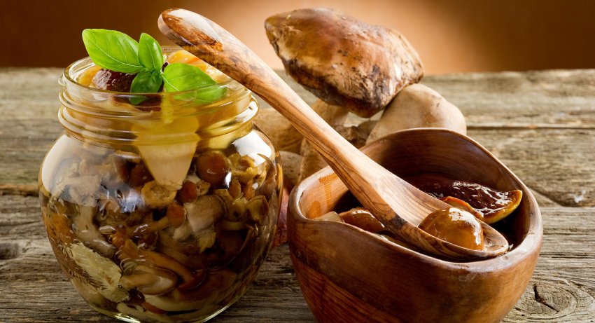 Солоні гриби