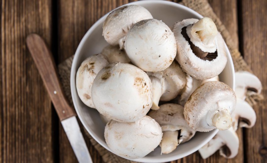 Свіжі печериці