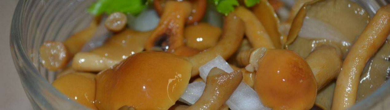 Як приготувати опеньки на зиму, маринівка та засолювання