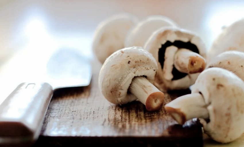 Свіжі печериці Свіжі печериці