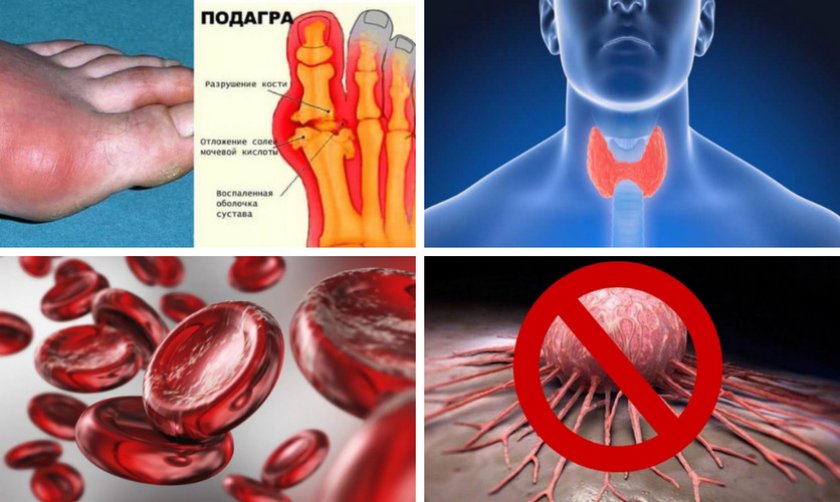 Благотворное влияние маслят на организм Благотворное влияние маслят на организм