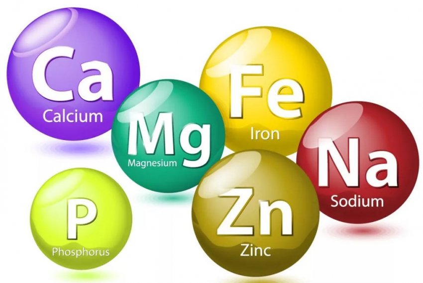 Мінерали в грибах