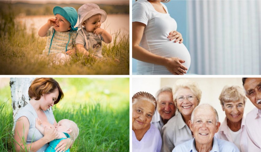 Протипоказання до вживання маслюків Протипоказання до вживання маслюків