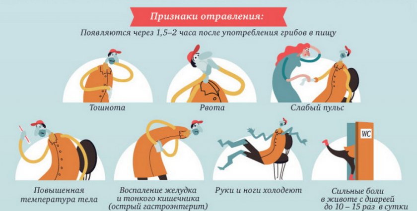 Признаки отравления грибов Признаки отравления грибов