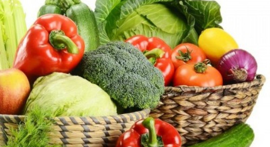 Плоды и овощи: хранение, логистика, сбыт 2019