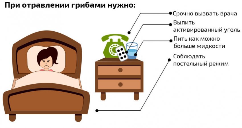 Що робити при отруєнні грибами
