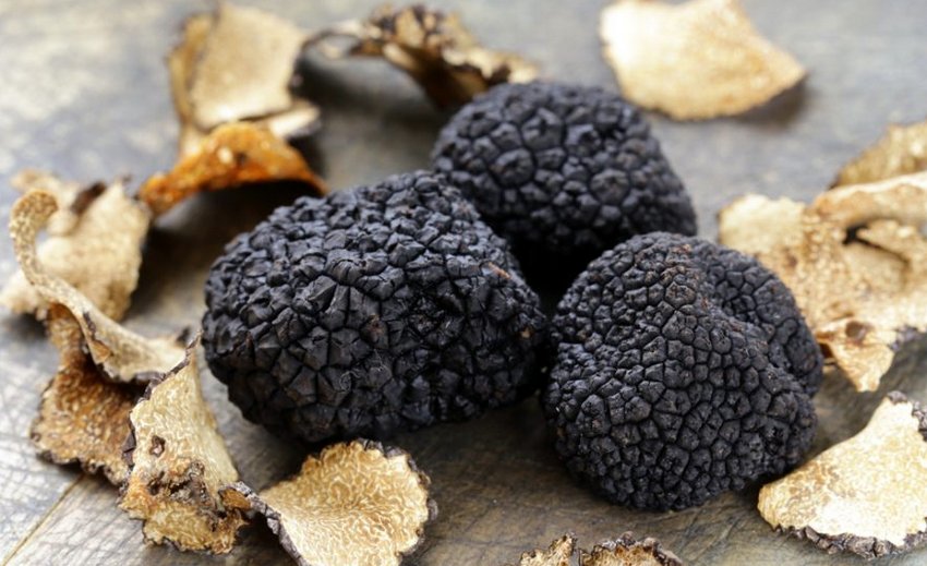 Осінній трюфель Осінній трюфель