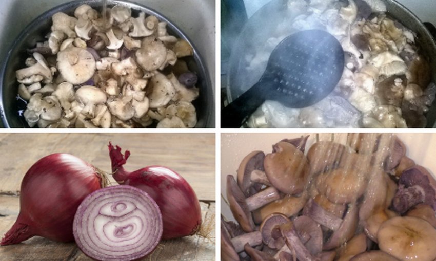 Підготовка грибів