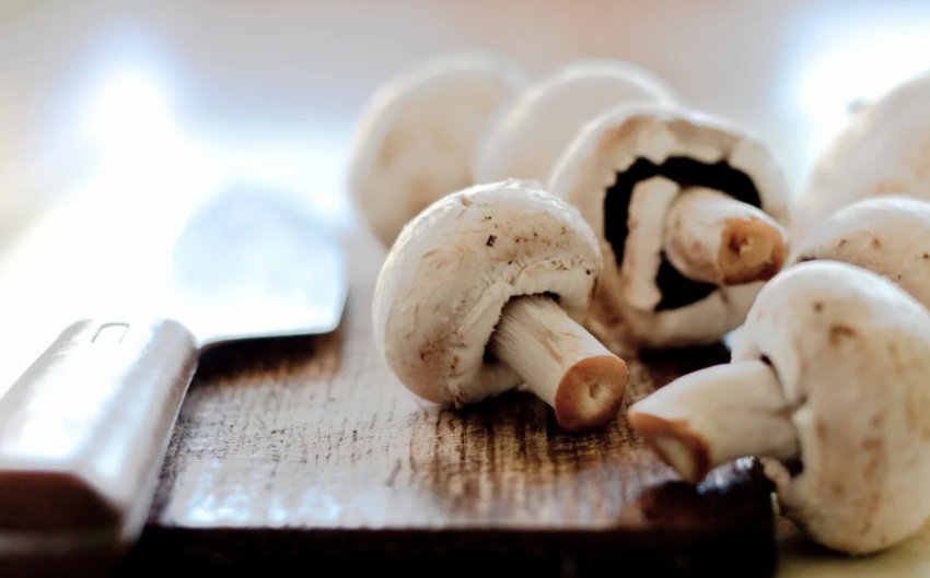 Свіжі печериці