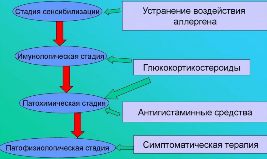 Как лечится аллергия