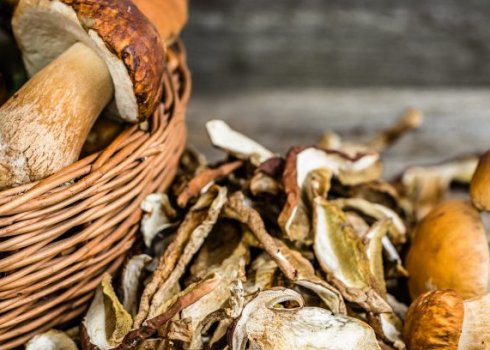 Зберігання білих грибів: способи і терміни