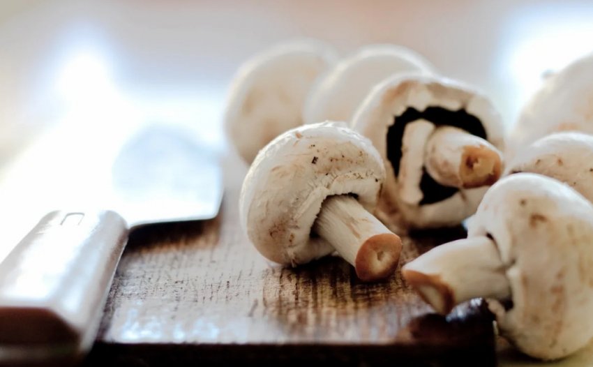 Свіжі печериці Свіжі печериці