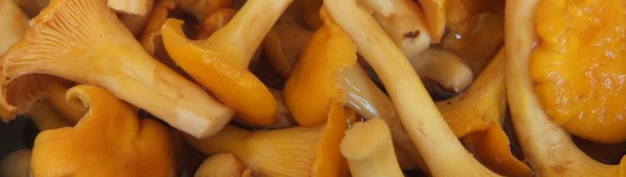 Рецепт смачних котлет із лисичок