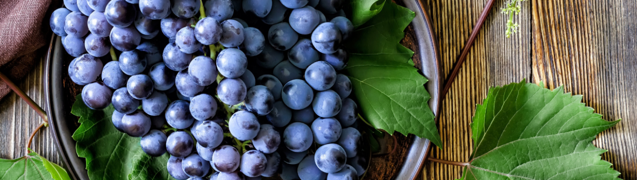 Українські виноградарі скаржаться на низьку рентабельність вирощування ягоди