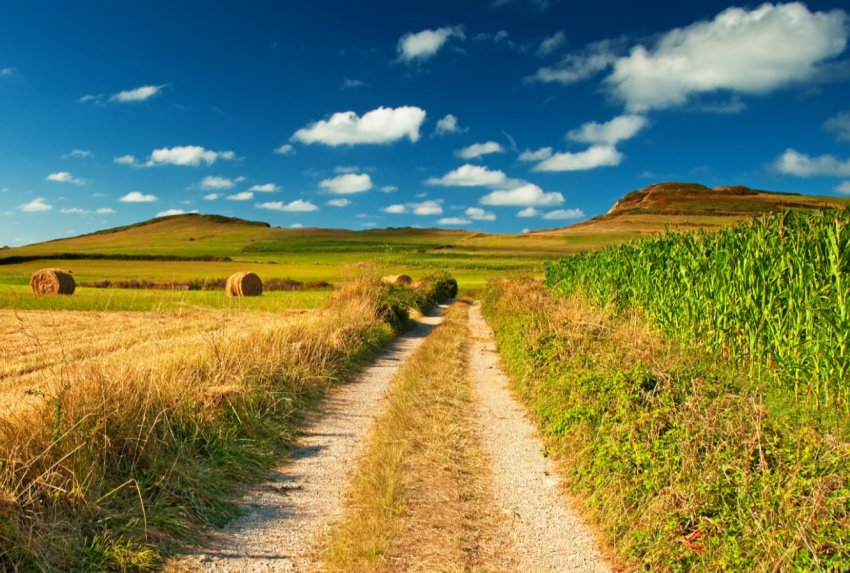 Зміна клімату загрожує фермерству Європи Зміна клімату загрожує фермерству Європи