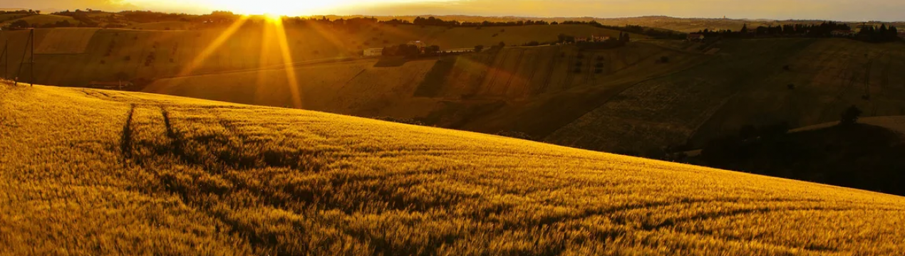 Зміна клімату загрожує фермерству Європи
