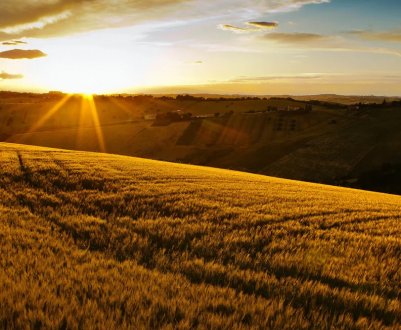 Зміна клімату загрожує фермерству Європи