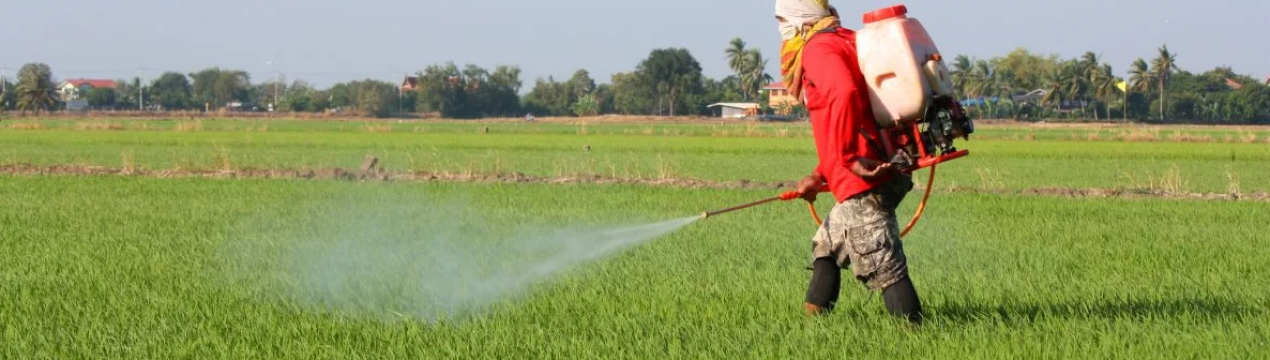 Пуэро-Ріко не збирається відмовлятися від гліфосату